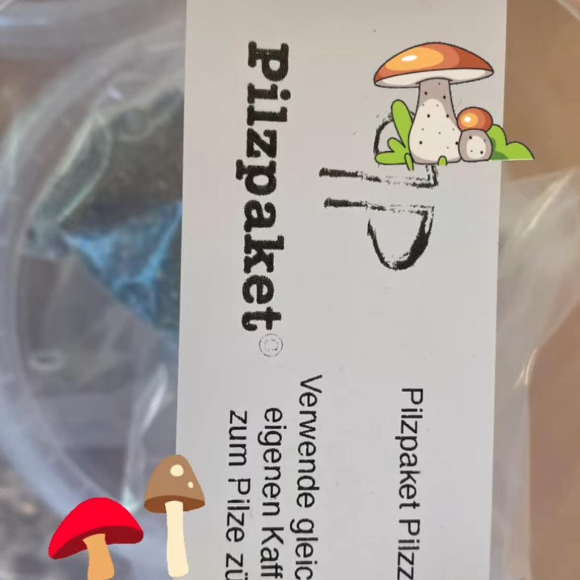 Pilze züchten