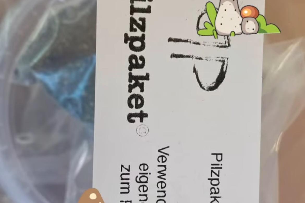 Pilze züchten